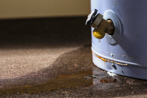 Best Commercial water damage restoration  in Colon, MI