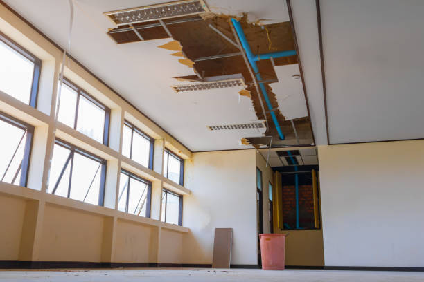 Best Emergency water damage restoration  in Colon, MI