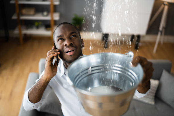 Best Mold removal after water damage  in Colon, MI