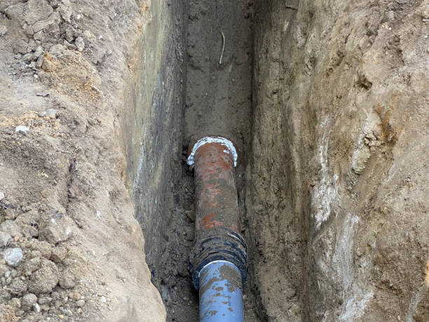 Best Residential water damage restoration  in Colon, MI