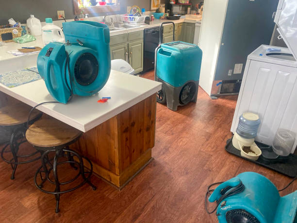 Best Professional water damage repair  in Colon, MI