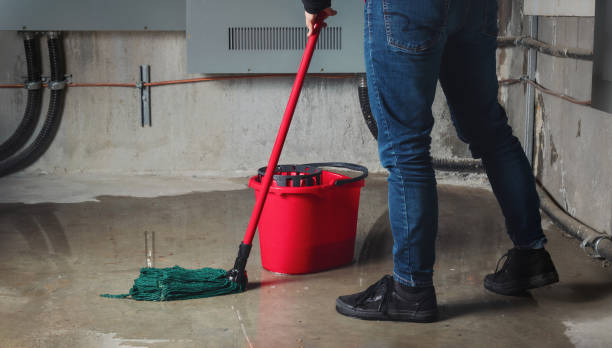 Best Fire Damage Restoration  in Colon, MI