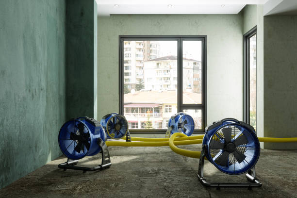 Best 24/7 water damage repair  in Colon, MI